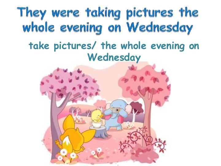 take pictures/ the whole evening on Wednesday