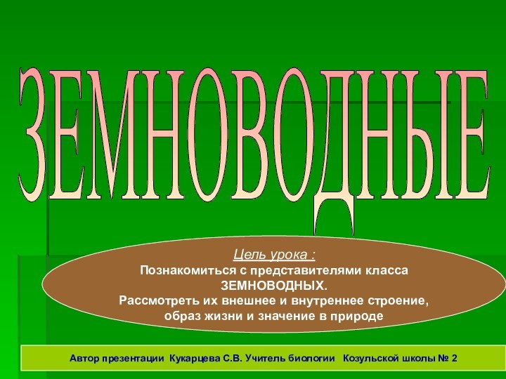 ЗЕМНОВОДНЫЕ Цель урока :Познакомиться с представителями класса ЗЕМНОВОДНЫХ.Рассмотреть их внешнее и внутреннее