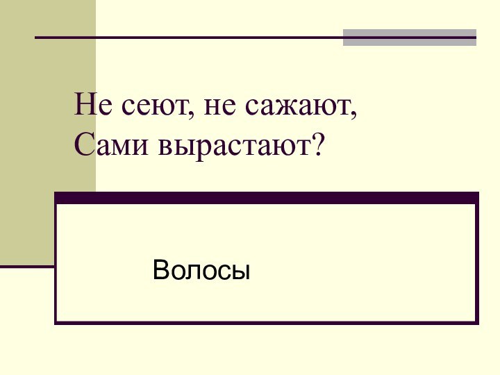 Не сеют, не сажают, Сами вырастают?Волосы