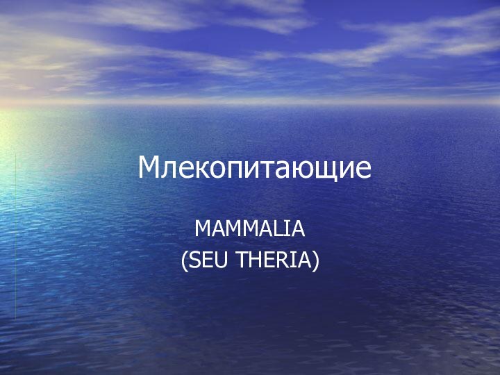 МлекопитающиеMAMMALIA(SEU THERIA)