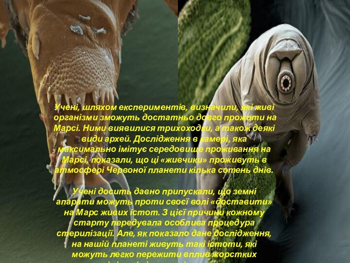 Учені, шляхом експериментів, визначили, які живі організми зможуть достатньо довго прожити на