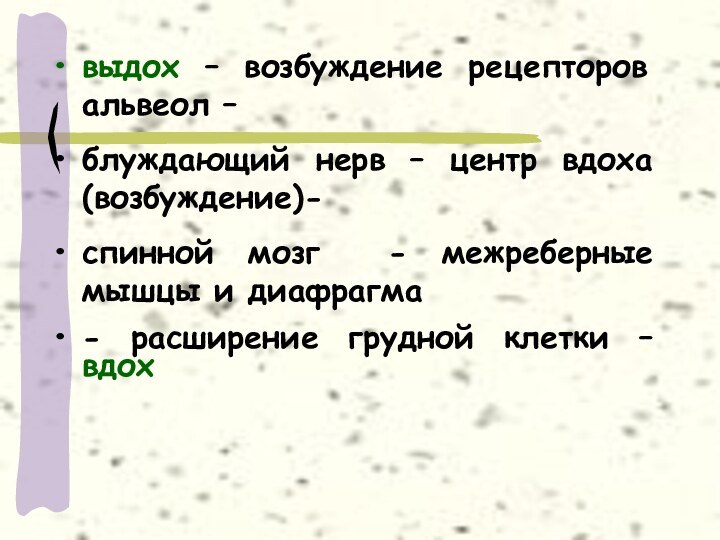 выдох – возбуждение рецепторов альвеол – блуждающий нерв – центр вдоха (возбуждение)-спинной