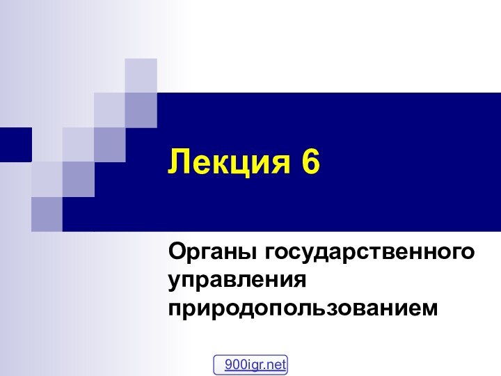 Лекция 6Органы государственного управления природопользованием