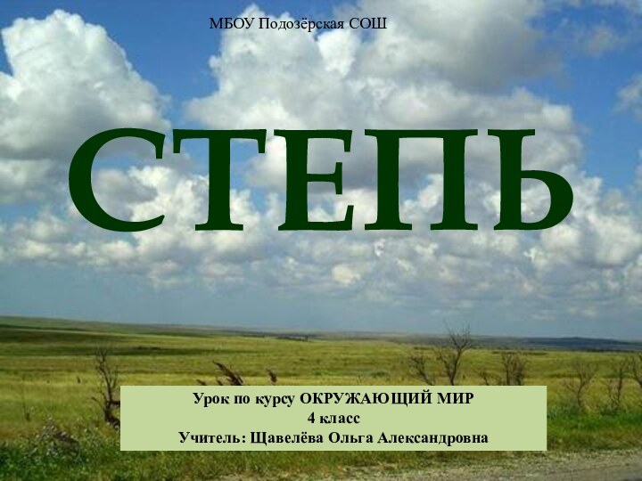 МБОУ Подозёрская СОШУрок по курсу ОКРУЖАЮЩИЙ МИР4 классУчитель: Щавелёва Ольга АлександровнаСТЕПЬ