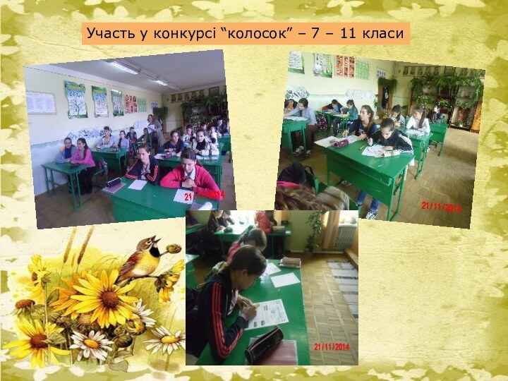 Участь у конкурсі “колосок” – 7 – 11 класи