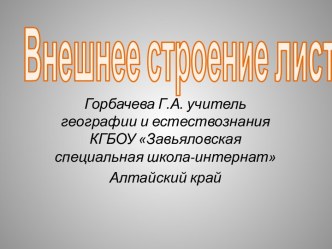 Внешнее строение листа