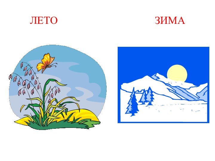 ЛЕТО              ЗИМА