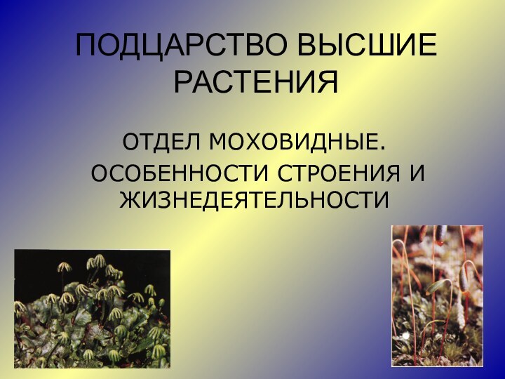 ПОДЦАРСТВО ВЫСШИЕ РАСТЕНИЯОТДЕЛ МОХОВИДНЫЕ. ОСОБЕННОСТИ СТРОЕНИЯ И ЖИЗНЕДЕЯТЕЛЬНОСТИ