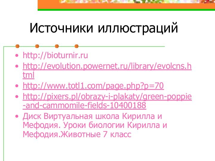 Источники иллюстрацийhttp://bioturnir.ruhttp://evolution.powernet.ru/library/evolcns.html http://www.totl1.com/page.php?p=70http://pixers.pl/obrazy-i-plakaty/green-poppie-and-cammomile-fields-10400188Диск Виртуальная школа Кирилла и Мефодия. Уроки биологии Кирилла и Мефодия.Животные 7 класс