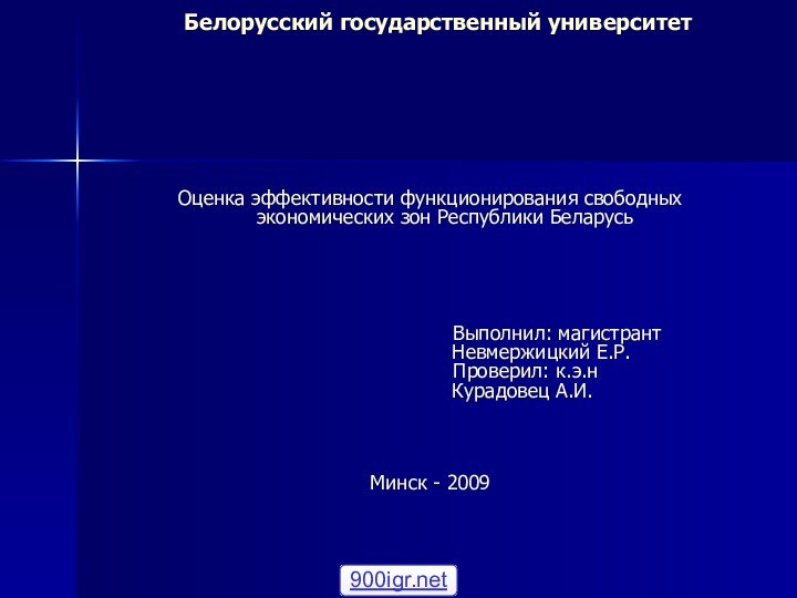 Белорусский государственный университетОценка эффективности функционирования свободных экономических зон Республики Беларусь