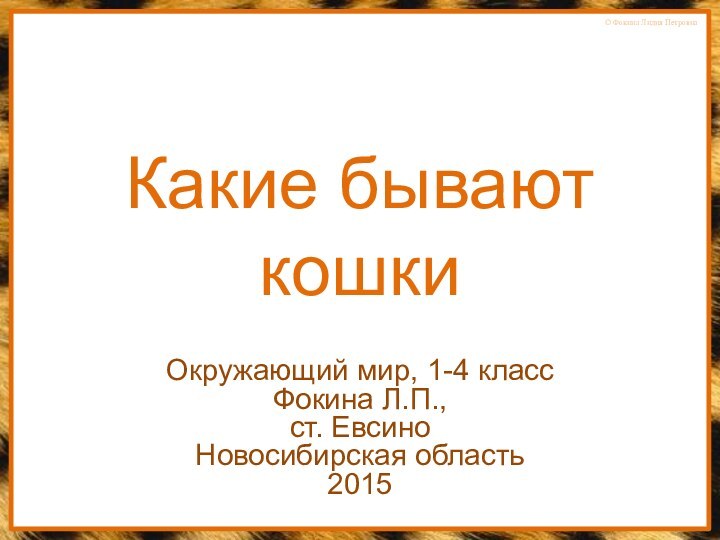 Какие бывают кошкиОкружающий мир, 1-4 классФокина Л.П.,ст. ЕвсиноНовосибирская область2015