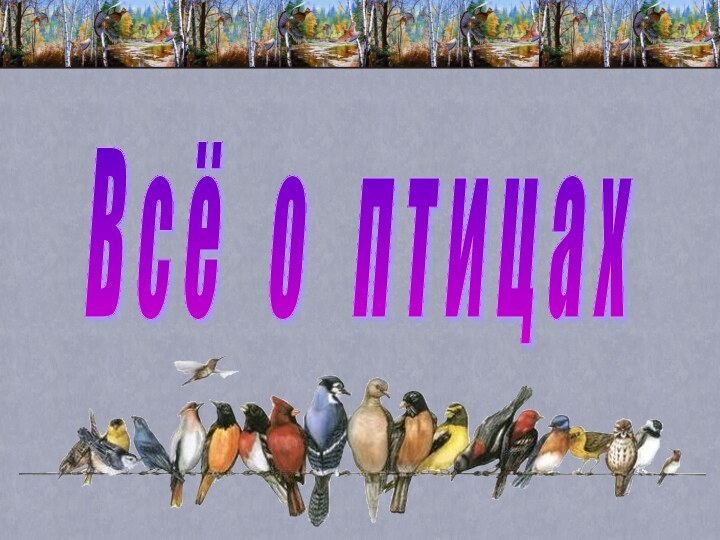 В с ё  о  п т и ц а х