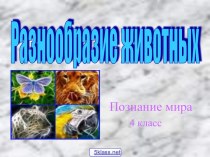 Группы диких животных