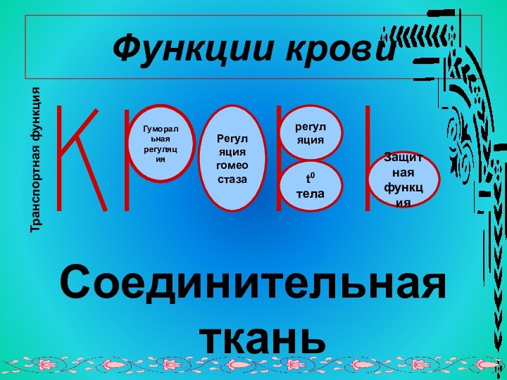 Функции кровиСоединительная тканьГуморальнаярегуляция Регуляция гомеостазарегуляцияt0 телаЗащитнаяфункция    Транспортная функция