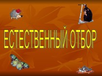 Естественный отбор