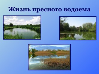 Жизнь пресного водоема