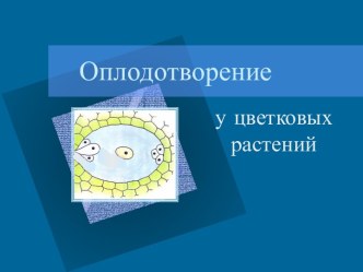 Оплодотворение у цветковых растений