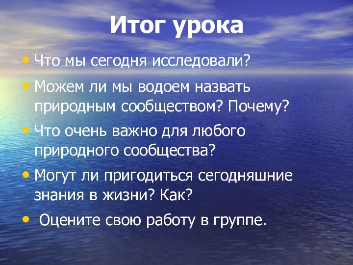 Итог урокаЧто мы сегодня исследовали? Можем ли мы водоем назвать природным сообществом?