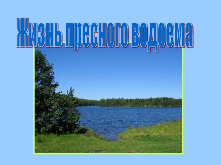 Жизнь пресного водоема