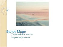 Белое море