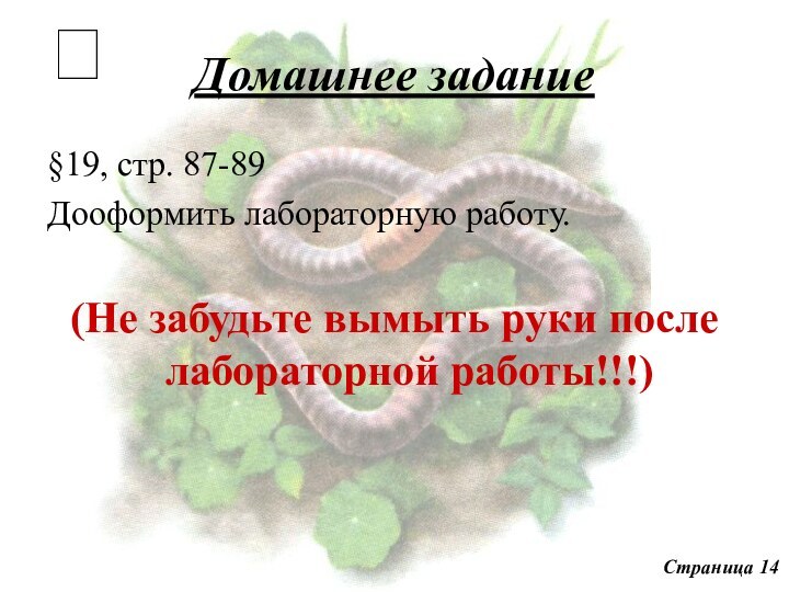 Домашнее задание§19, стр. 87-89Дооформить лабораторную работу.(Не забудьте вымыть руки после лабораторной работы!!!)Страница 14