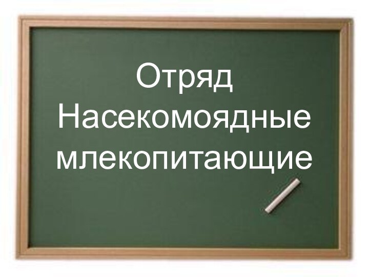 Отряд  Насекомоядные  млекопитающие