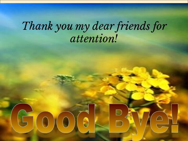 Good Bye! Thank you my dear friends for attention!