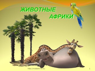 Животные Африки