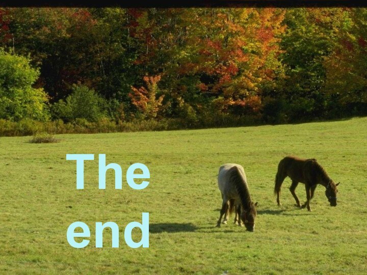 The end