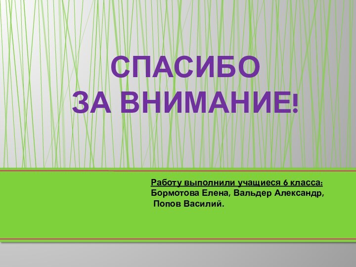 СПАСИБО ЗА ВНИМАНИЕ!Работу выполнили учащиеся 6 класса:Бормотова Елена, Вальдер Александр, Попов Василий.