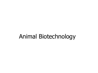 Animal Biotechnology