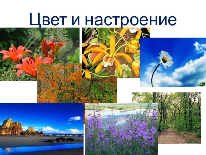 Цвет и настроение