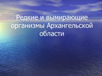 Редкие и вымирающие организмы Архангельской области