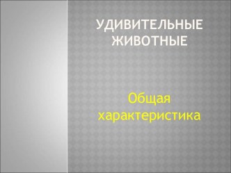 Удивительные животные. Общая характеристика