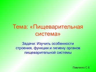 Пищеварительная система