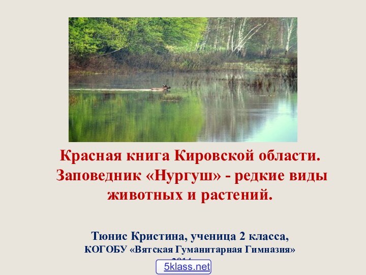 Красная книга Кировской области.   Заповедник «Нургуш» - редкие