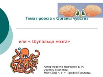 Деятельность учителя на уроке биологии при изучении органов чувств