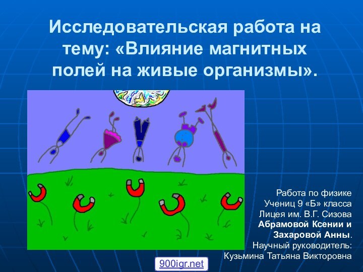 Исследовательская работа на тему: «Влияние магнитных полей на живые организмы».Работа по физикеУчениц