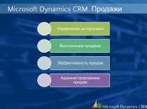 Microsoft Dynamics CRM. Продажи