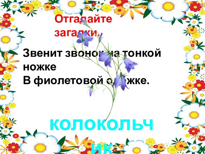 Отгадайте загадки.Звенит звонок на тонкой ножкеВ фиолетовой одёжке.колокольчик