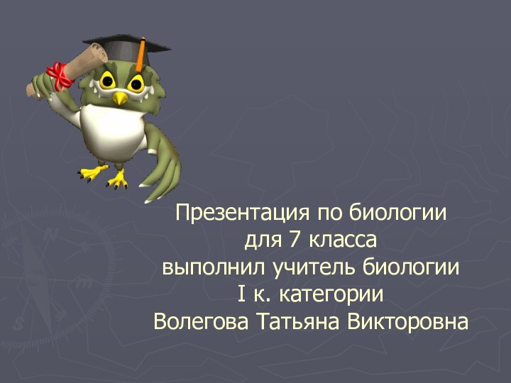 Презентация по биологии  для 7 класса выполнил учитель биологии  I