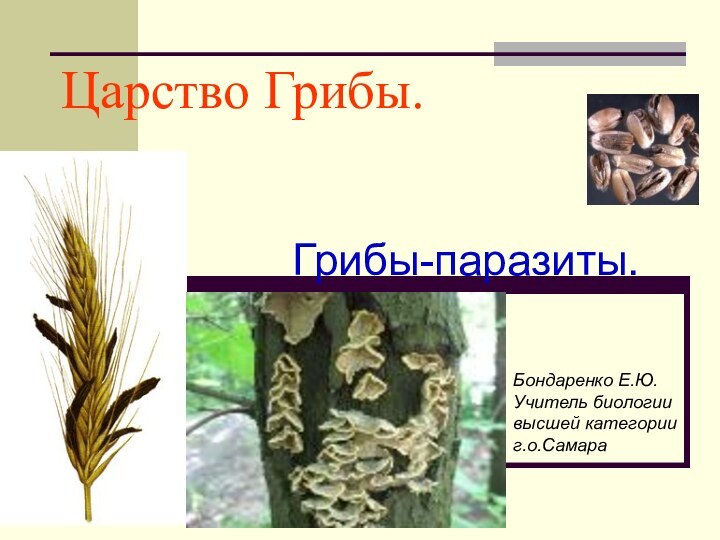 Царство Грибы.    Грибы-паразиты.Бондаренко Е.Ю.Учитель биологиивысшей категорииг.о.Самара