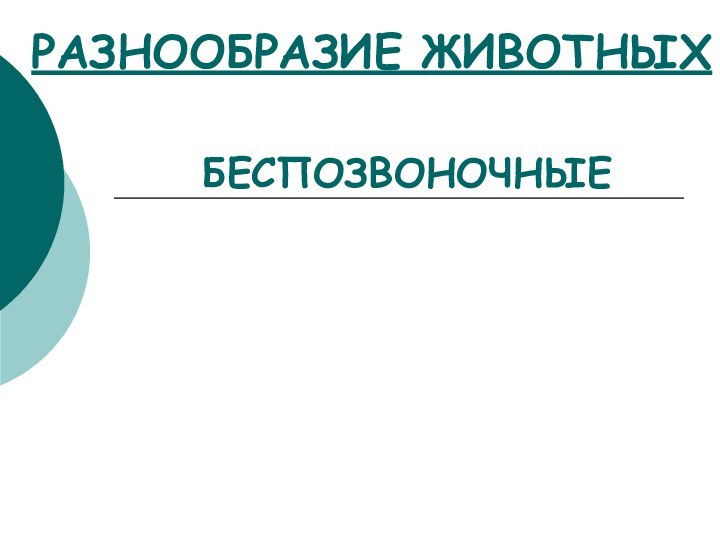 РАЗНООБРАЗИЕ ЖИВОТНЫХБЕСПОЗВОНОЧНЫЕ