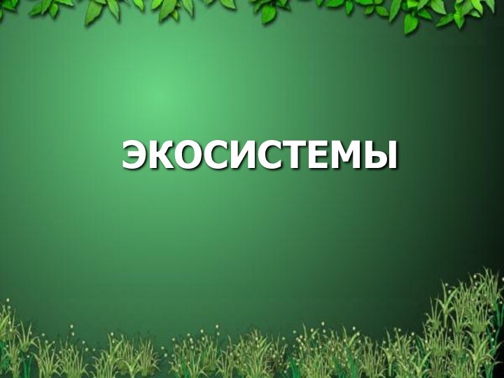 ЭКОСИСТЕМЫ