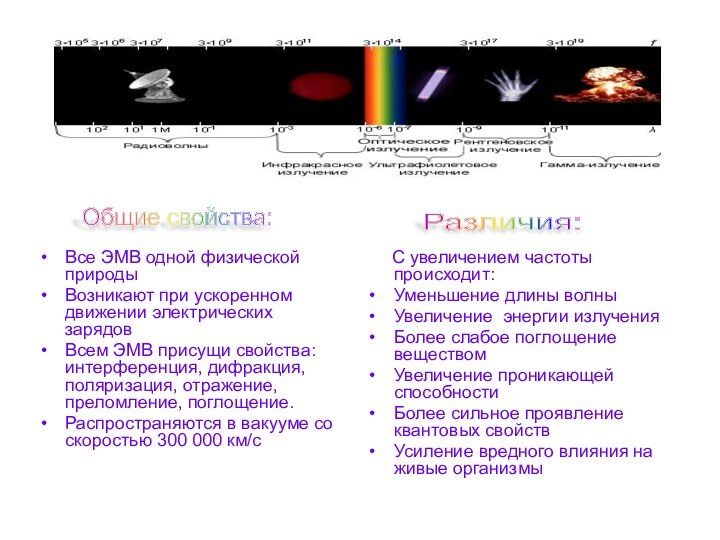 Все ЭМВ одной физической природыВозникают при ускоренном движении электрических зарядовВсем ЭМВ присущи