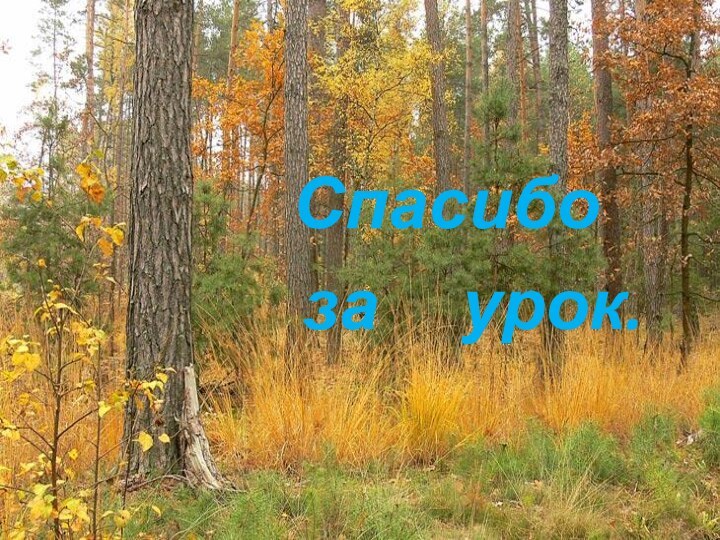 Спасибо    за   урок.