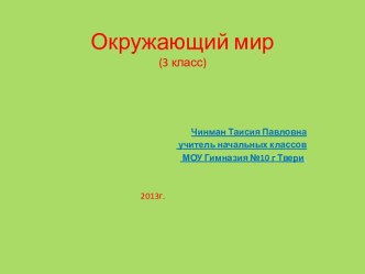 Конспект и презентация по теме Смешанные леса