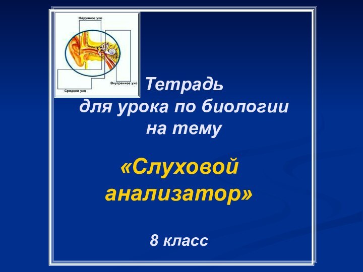 Тетрадь  для урока по биологии  на тему«Слуховой анализатор»