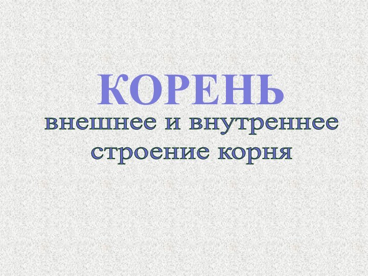 внешнее и внутреннеестроение корняКОРЕНЬ