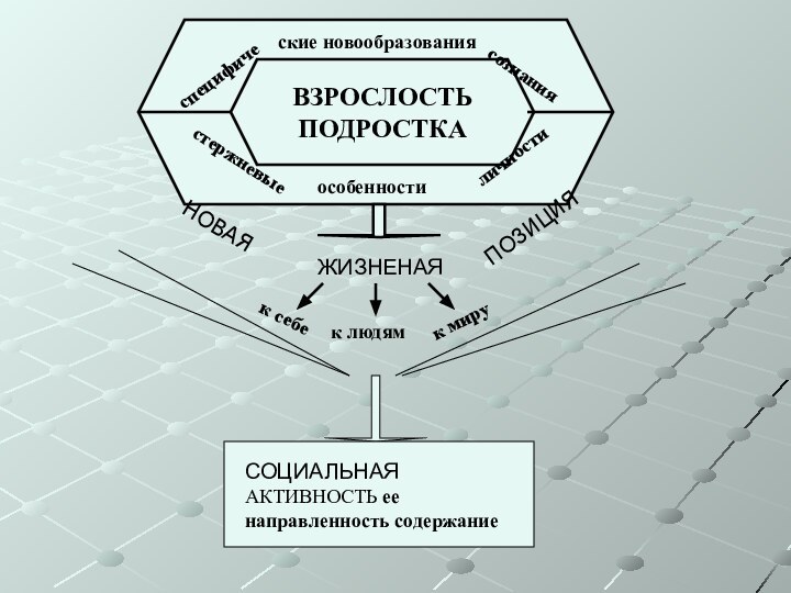 ВЗРОСЛОСТЬ ПОДРОСТКАспецифические новообразованиясознаниястержневыеособенностиличностиНОВАЯЖИЗНЕНАЯПОЗИЦИЯк себек людямк мируСОЦИАЛЬНАЯ АКТИВНОСТЬ ее направленность содержание